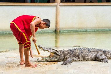 Samut Prakan, Tayland - 04 Ocak 2017: de riski göster