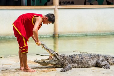 Samut Prakan, Tayland - 04 Ocak 2017: de riski göster