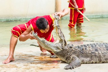 Samut Prakan, Tayland - 04 Ocak 2017: de riski göster