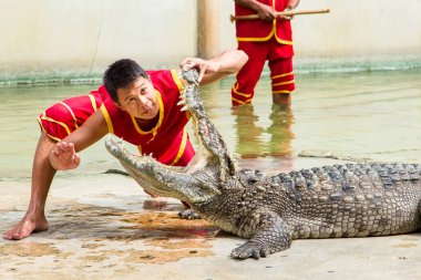 Samut Prakan, Tayland - 04 Ocak 2017: de riski göster
