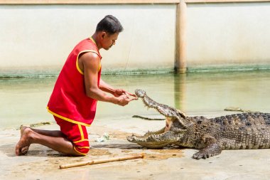 Samut Prakan, Tayland - 04 Ocak 2017: de riski göster