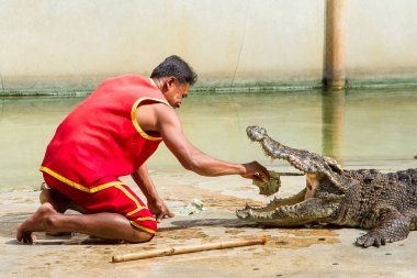 Samut Prakan, Tayland - 04 Ocak 2017: de riski göster
