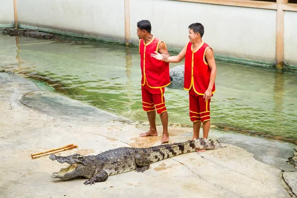 Samut Prakan, Thaimaa - tammikuu, 04, 2017: Näytä riski de — kuvapankkivalokuva