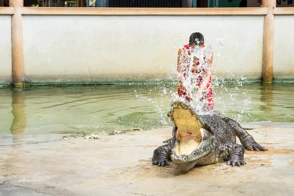 Samut Prakan, Tayland - 04 Ocak 2017: de riski göster — Stok fotoğraf