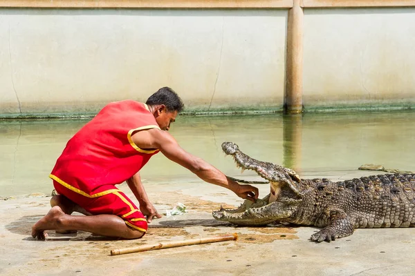 Samut Prakan, Tailândia - 04 de janeiro de 2017: Mostrar o risco de — Fotografia de Stock