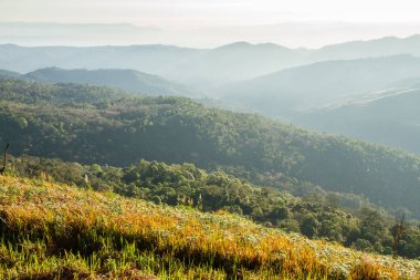 Manzara sabah dağ sunrise siluet ağaçların arasında 