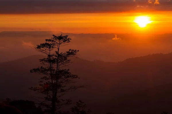 Ландшафты утренний горный восход солнца между силуэтом деревьев — стоковое фото