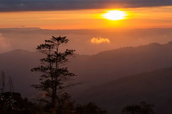 Ландшафты утренний горный восход солнца между силуэтом деревьев — стоковое фото