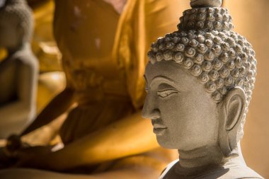 Ayutthaya, Tayland - 11 Şubat 2017: Buda'nın yüzünü kapatmak 