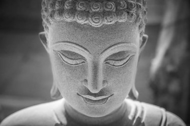 Ayutthaya, Tayland - 11 Şubat 2017: Buda'nın yüzünü kapatmak 