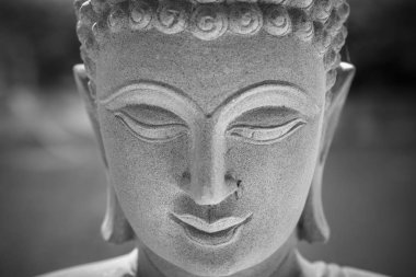 Ayutthaya, Tayland - 11 Şubat 2017: Buda'nın yüzünü kapatmak 
