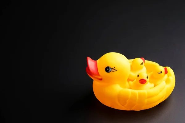Yellow Mother and baby ducks rubber duck isolated on black backg