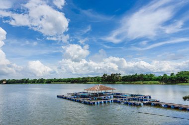 Nehir balık kafeste. Tayland.