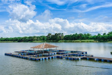 Nehir balık kafeste. Tayland.