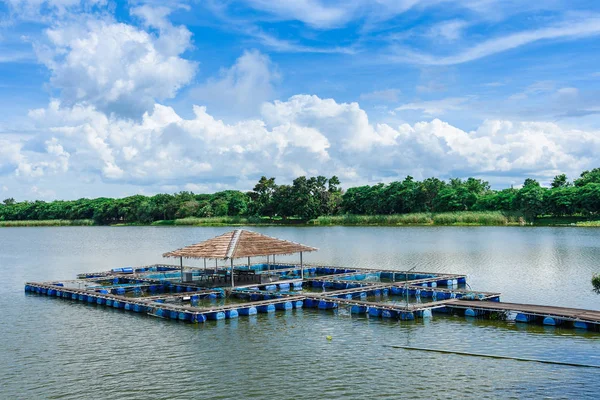 Nehir balık kafeste. Tayland.