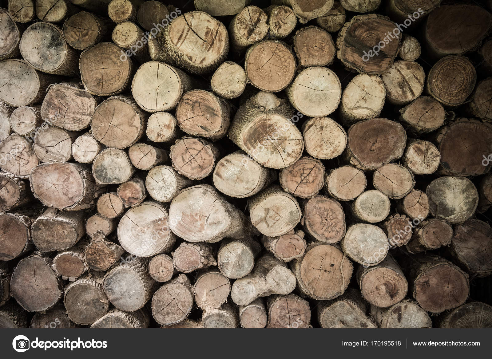 Stacked Logs Wood For Fireplace Stock Photo C Bubbers 170195518
