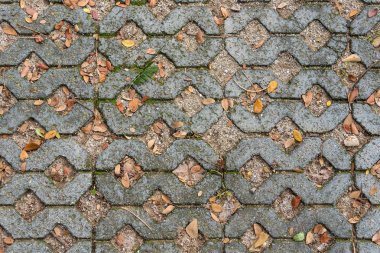 Patika arka plan ve doku.