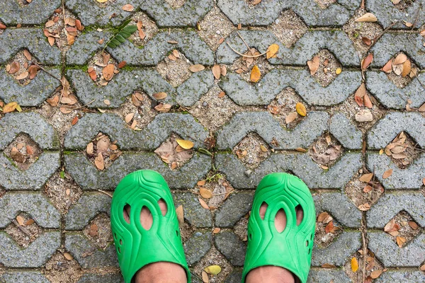 Zapatos verdes en el sendero Fondo y Textura . — Foto de Stock