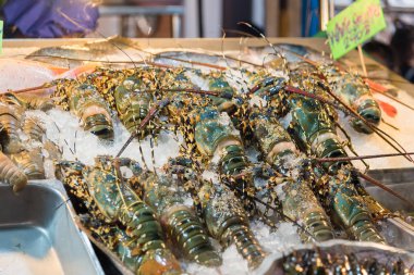 Istakoz karides buz üzerinde büyük ve çok lezzetli yemekler mevcuttur 