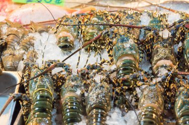 Istakoz karides buz üzerinde büyük ve çok lezzetli yemekler mevcuttur 