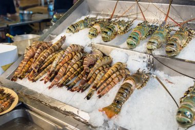 Istakoz ve karides buz çok lezzetli gıda seafoo mevcuttur