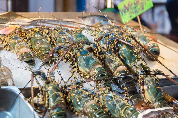 氷の上のロブスター エビ、大規模な非常においしい食べ物があります。 — ストック写真