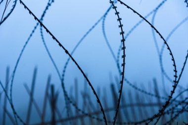 Özel koruyucu eskrim dikenli tel nesne korumalı. Damgalı dikenli tel