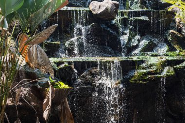 Bahçede şelale. Tayland.