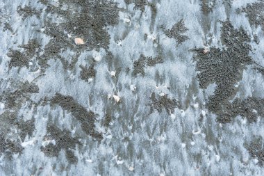 Desen akşam sahilde. Tayland.