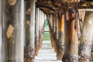 Köprünün Altında, Tayland İskelesi Altında.