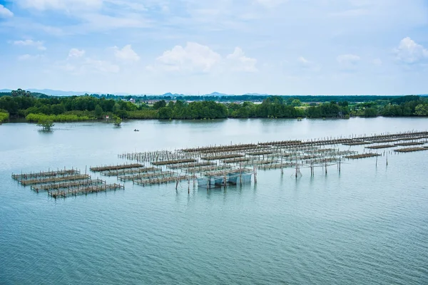 Oyster farm in the sea at day time.Thailand. — Stock Photo, Image