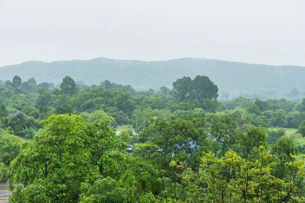 Deszczowy obejmuje obfite góry, drzewa na pierwszym planie. Tajlandia. — Zdjęcie stockowe