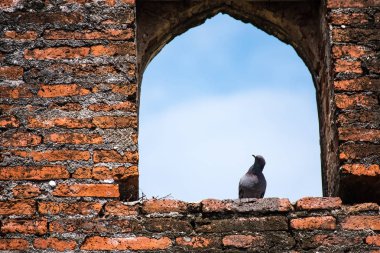 Bunu uçakta eski tuğla duvarlar, Sarayı Kral Rama'nın, Tayland