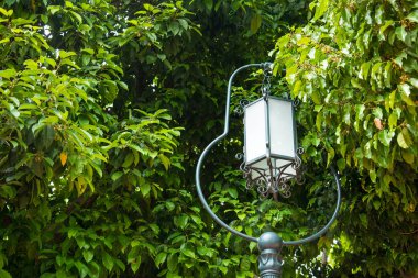 Bahçe lamba mesaj. Tayland