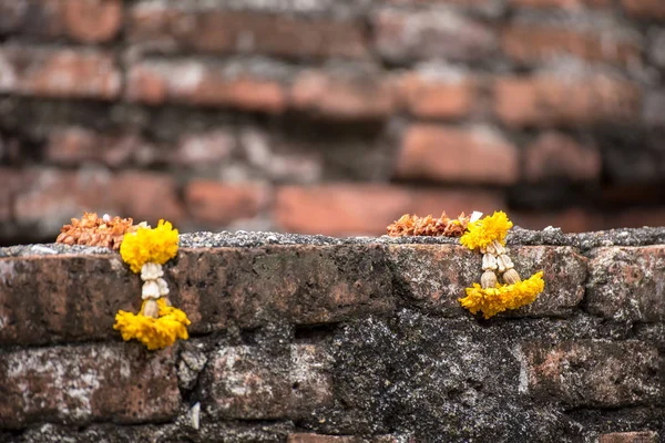 Garland Bloemen Geplaatst Oude Muren — Stockfoto