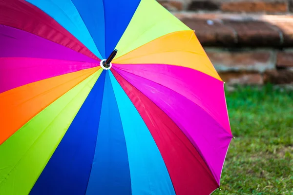 Spectre Arc Ciel Fond Multicolore Parapluie — Photo