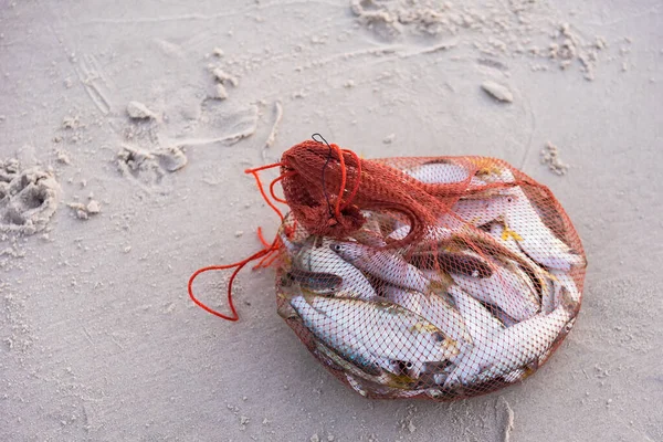 早上太阳出来的时候，海滩上有一只网袋里的海鱼. — 图库照片