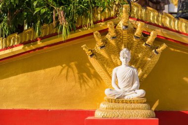 Buda Sangkat Rattana Khiri Wat Khao Sakae Krang mo üzerinde beyaz