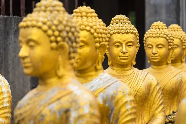 Socha Buddhy v thajském chrámu. — Stock fotografie