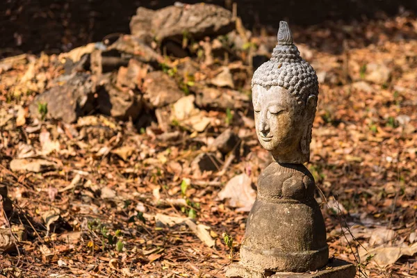 Λίθινο άγαλμα κεφαλής Βούδα εξωτερική. — Φωτογραφία Αρχείου