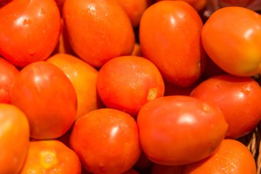 Lezzetli kırmızı domatesler. Yaz tepsisi tarım çiftliği organik sebzelerle dolu