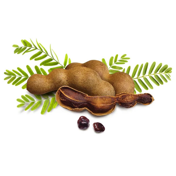 Tamarind on white background — Stock Photo, Image