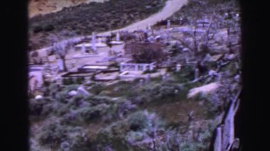 Mezarlık ve ağaç görünümü