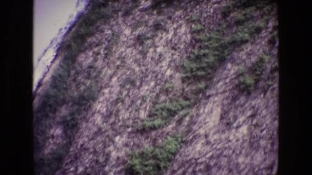 植物生长在茅草屋顶上 — 图库视频影像
