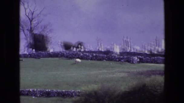 Vieux cimetière et champs verts — Video