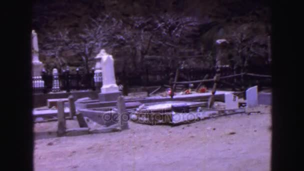Mezar mezarlar ve ağaç görünümü — Stok video