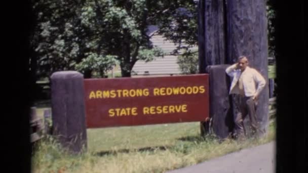 Armstrong redwoods reserv — Stockvideo