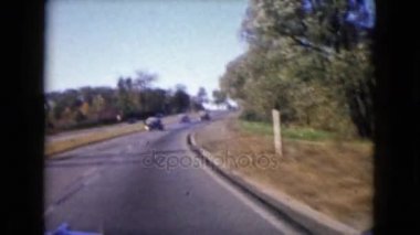yol ve ağaç manzara