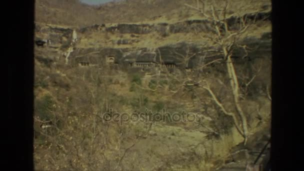 Pájaro sentado en ruinas — Vídeos de Stock