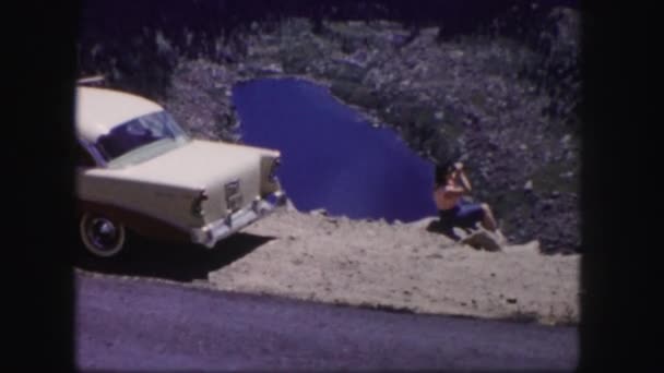 Woman looking on mountains near her car — Stock Video